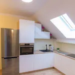 Galeria Jordanowska Apartment *
