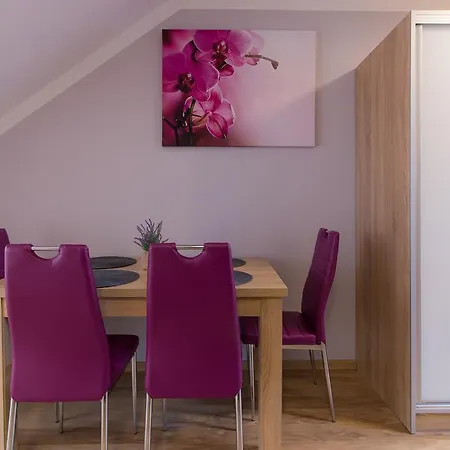 Apartment Galeria Jordanowska